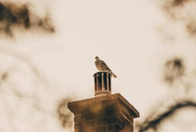 Schoorsteenvegen, Westenberg, Den Haag